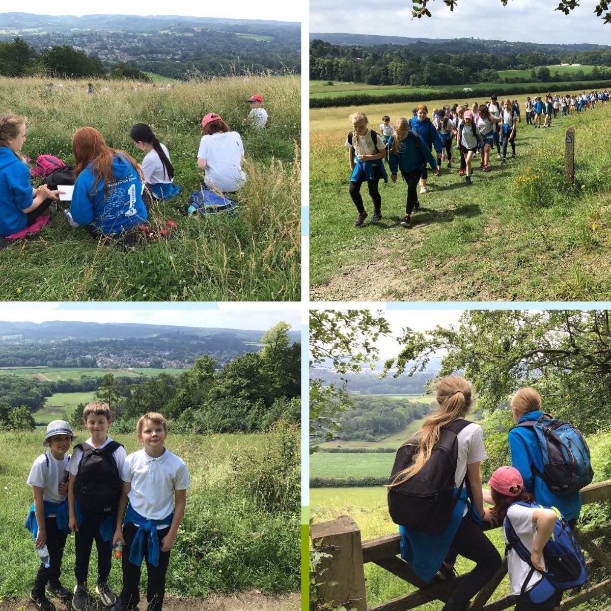 Surrey Hills All Saints Primary School - Walk on Ranmore – Years 5 and 6